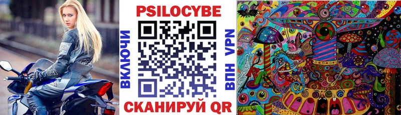 Псилоцибиновые грибы Cubensis  Избербаш 